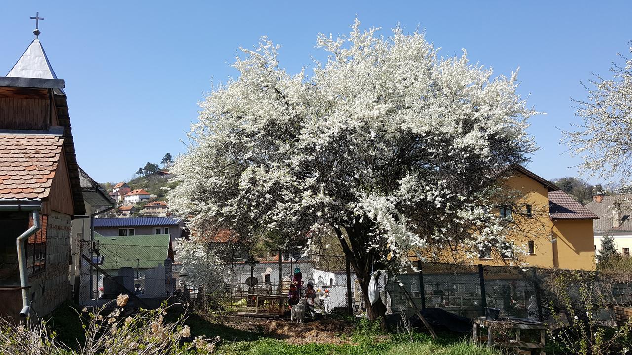 A Pousada Mountain Tale Braşov Exterior foto