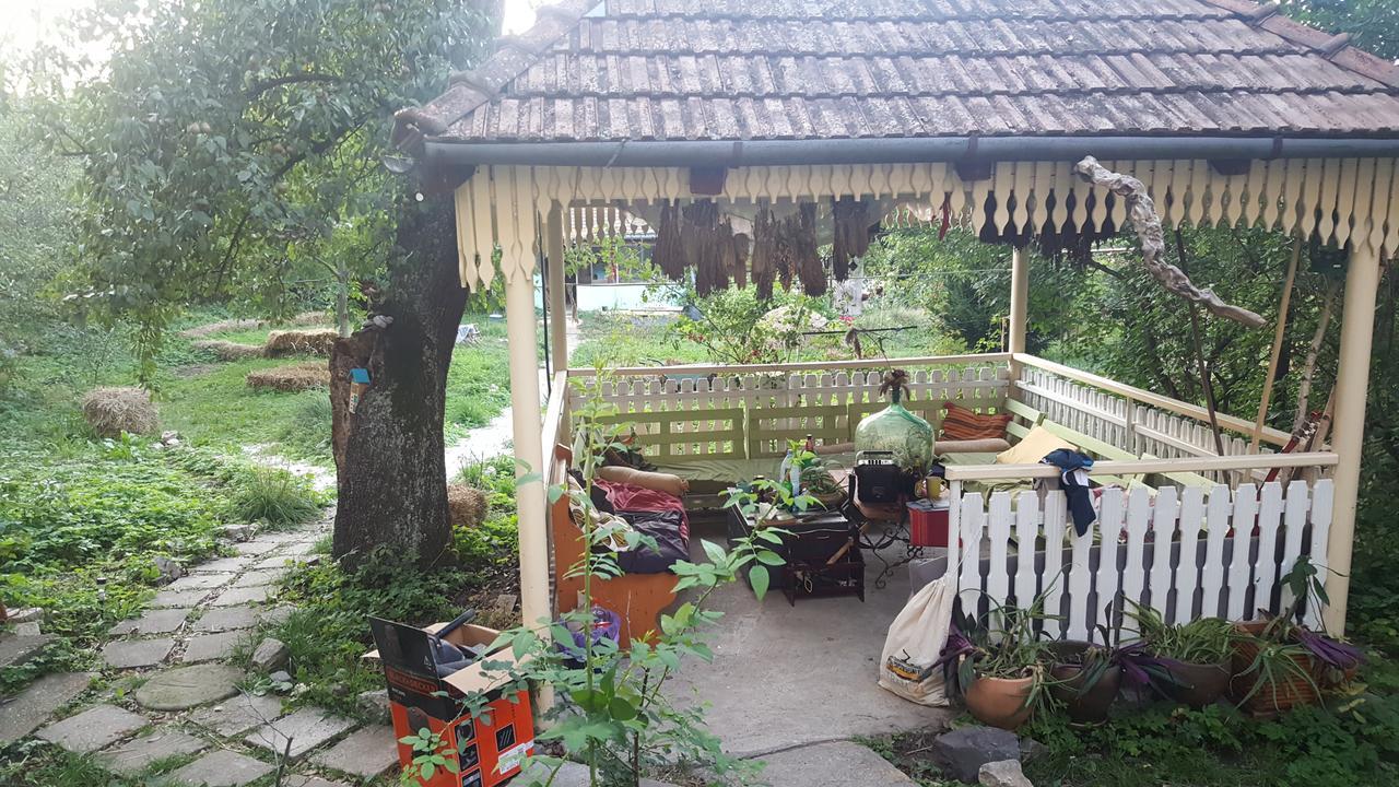 A Pousada Mountain Tale Braşov Exterior foto